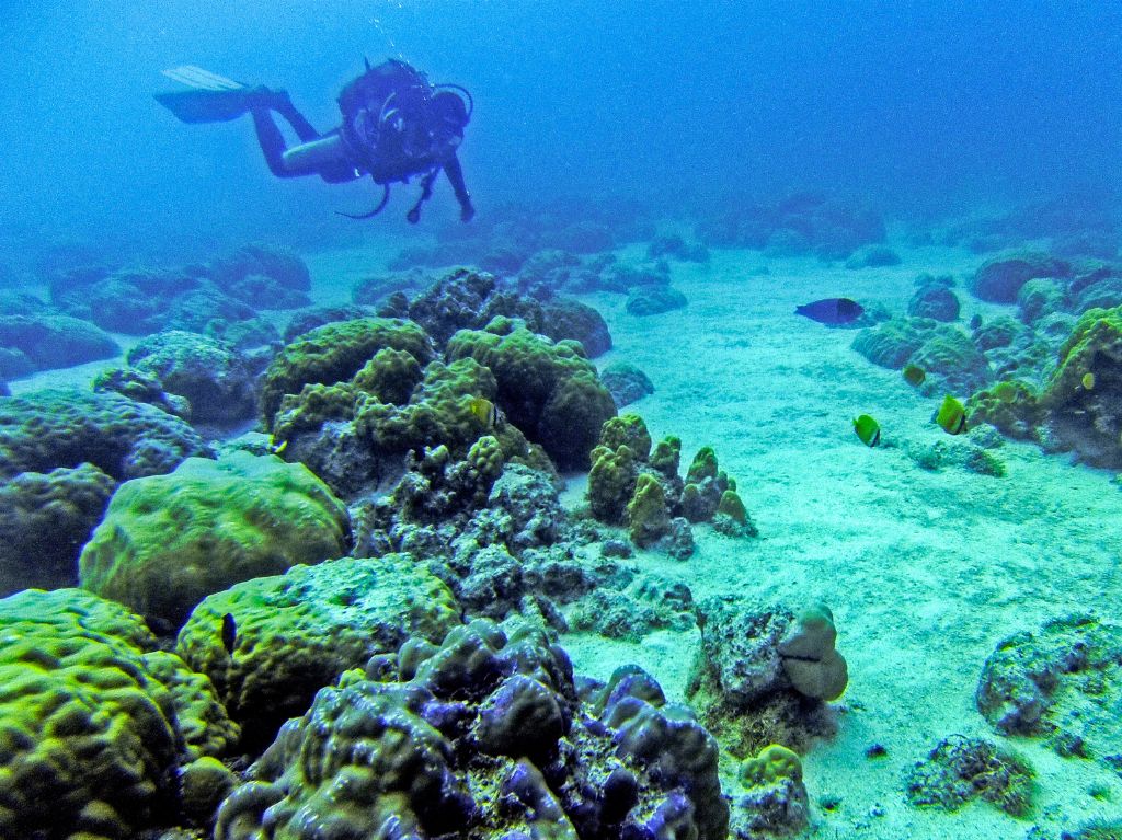 Un plongeur dans les eaux mauriciennes