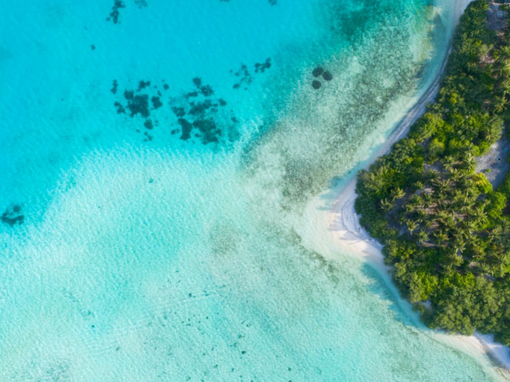 littoral des cotes maldives