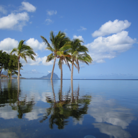Île Maurice : l’hôtel Le Méridien se refait une beauté 