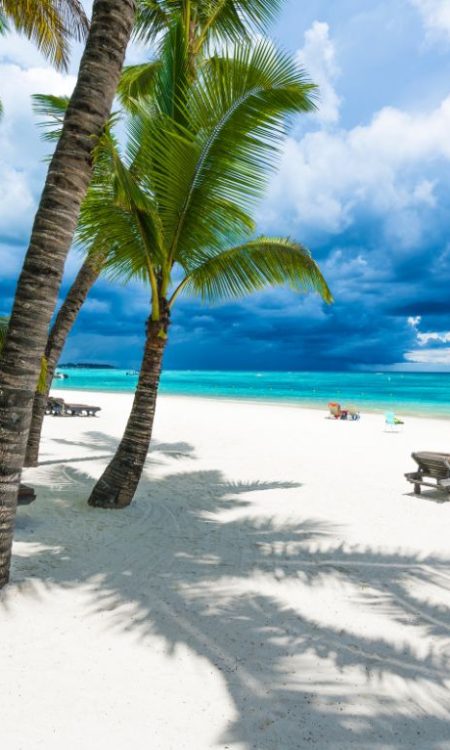 Une plage de l'île Maurice bordée de palmiers