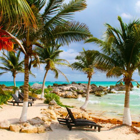 Organisez vos vacances à l’hôtel Radisson Blu Poste Lafayette de l’île Maurice !