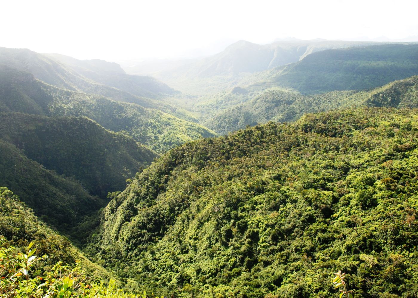 paysage vallee ferney