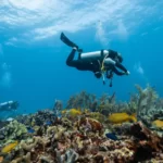 plongée ile maurice