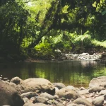 10-paysages-a-couper-le-souffle-que-vous-ne-trouverez-quen-martinique