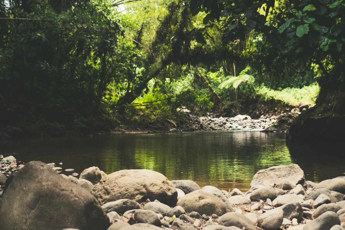 10-paysages-a-couper-le-souffle-que-vous-ne-trouverez-quen-martinique
