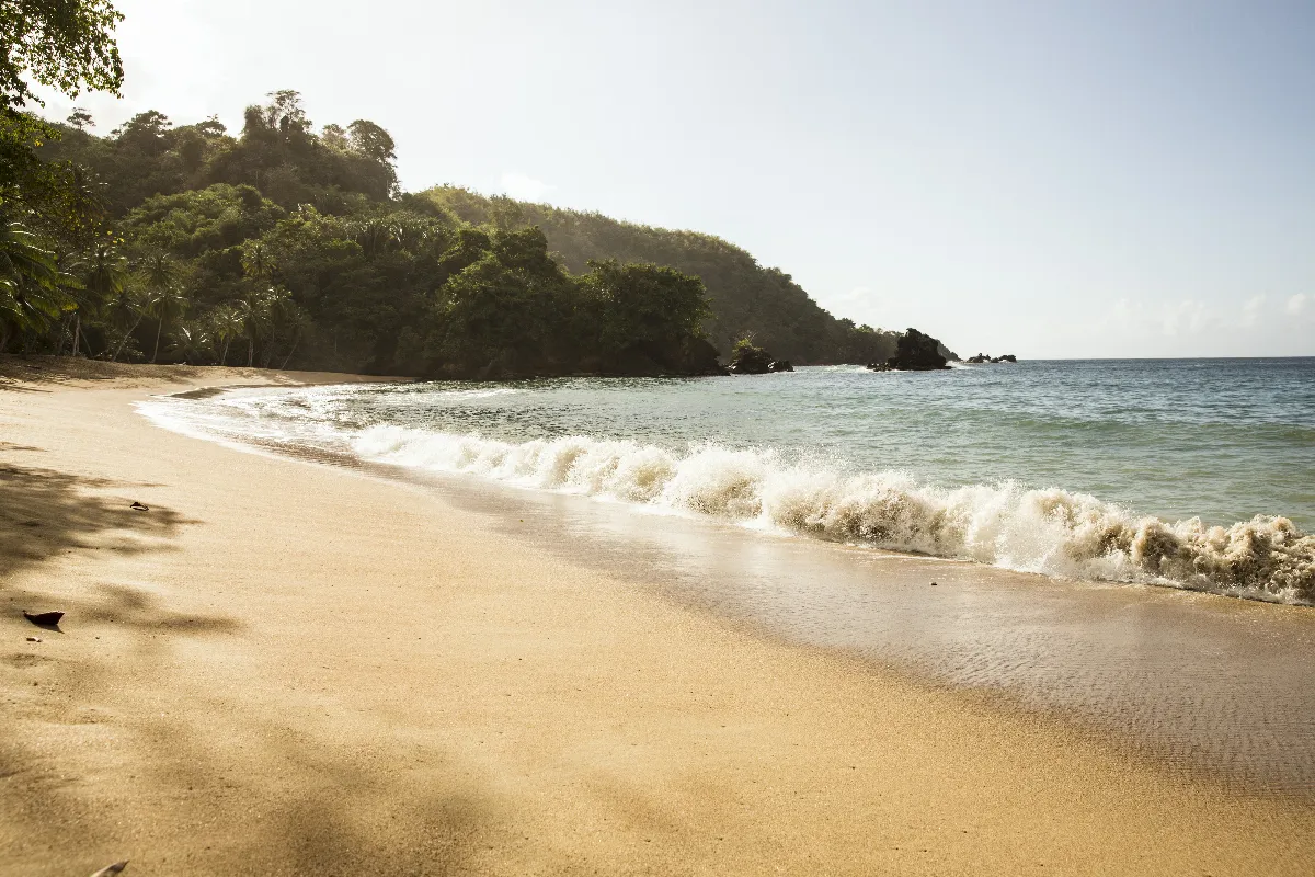 guide-ultime-des-antilles-plages-de-reve-et-culture-vibrante-a-lhonneur