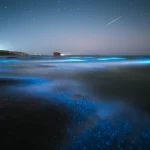 la-plage-qui-brille-dans-le-noir-un-spectacle-naturel-a-ne-pas-manquer