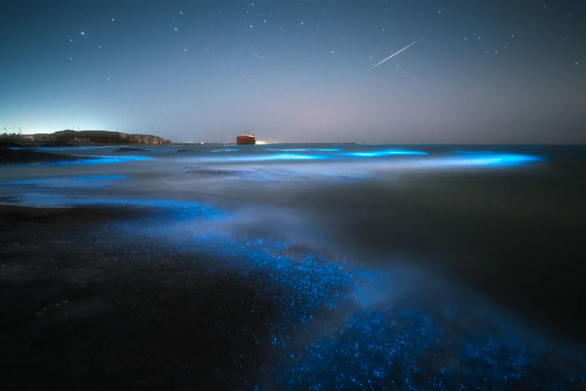 la-plage-qui-brille-dans-le-noir-un-spectacle-naturel-a-ne-pas-manquer