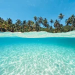 les-paradis-perdus-de-loceanie-iles-cultures-et-biodiversite-a-preserver