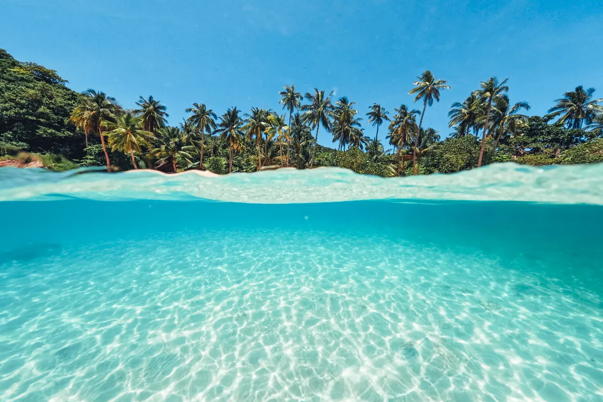 les-paradis-perdus-de-loceanie-iles-cultures-et-biodiversite-a-preserver