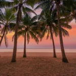 les-secrets-bien-gardes-des-caraibes-comment-preparer-un-voyage-inoubliable