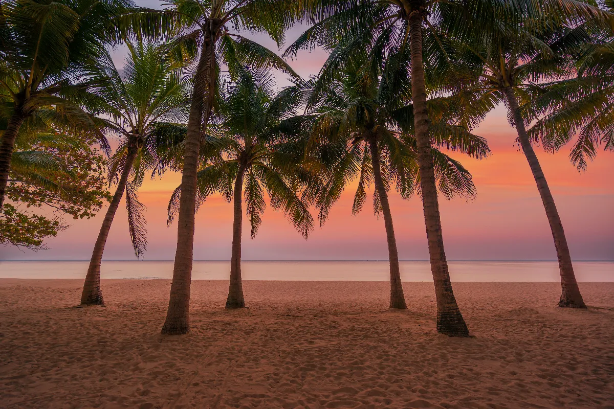 les-secrets-bien-gardes-des-caraibes-comment-preparer-un-voyage-inoubliable