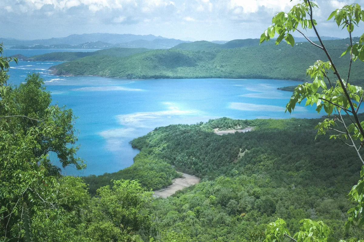 pourquoi-la-martinique-devrait-etre-votre-prochain-paradis-vacancier-5-raisons-qui-vont-vous-surprendre