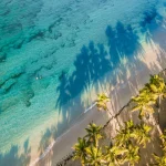 vous-ne-croirez-jamais-ce-que-la-martinique-a-a-offrir-decouvrez-le-top-5-des-activites-incontournables