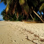 cap-sur-madagascar-les-10-raisons-qui-feront-de-lile-votre-prochaine-destination