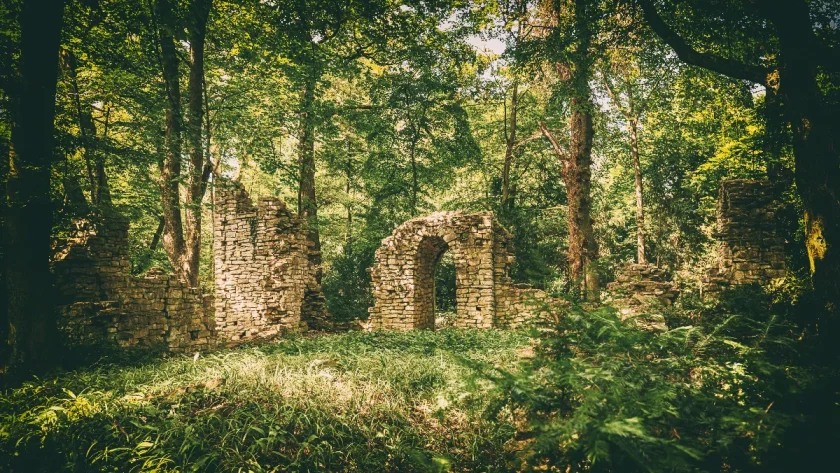 des-deserts-a-la-jungle-vous-netes-pas-pres-a-ces-experiences-de-transition-etonnantes