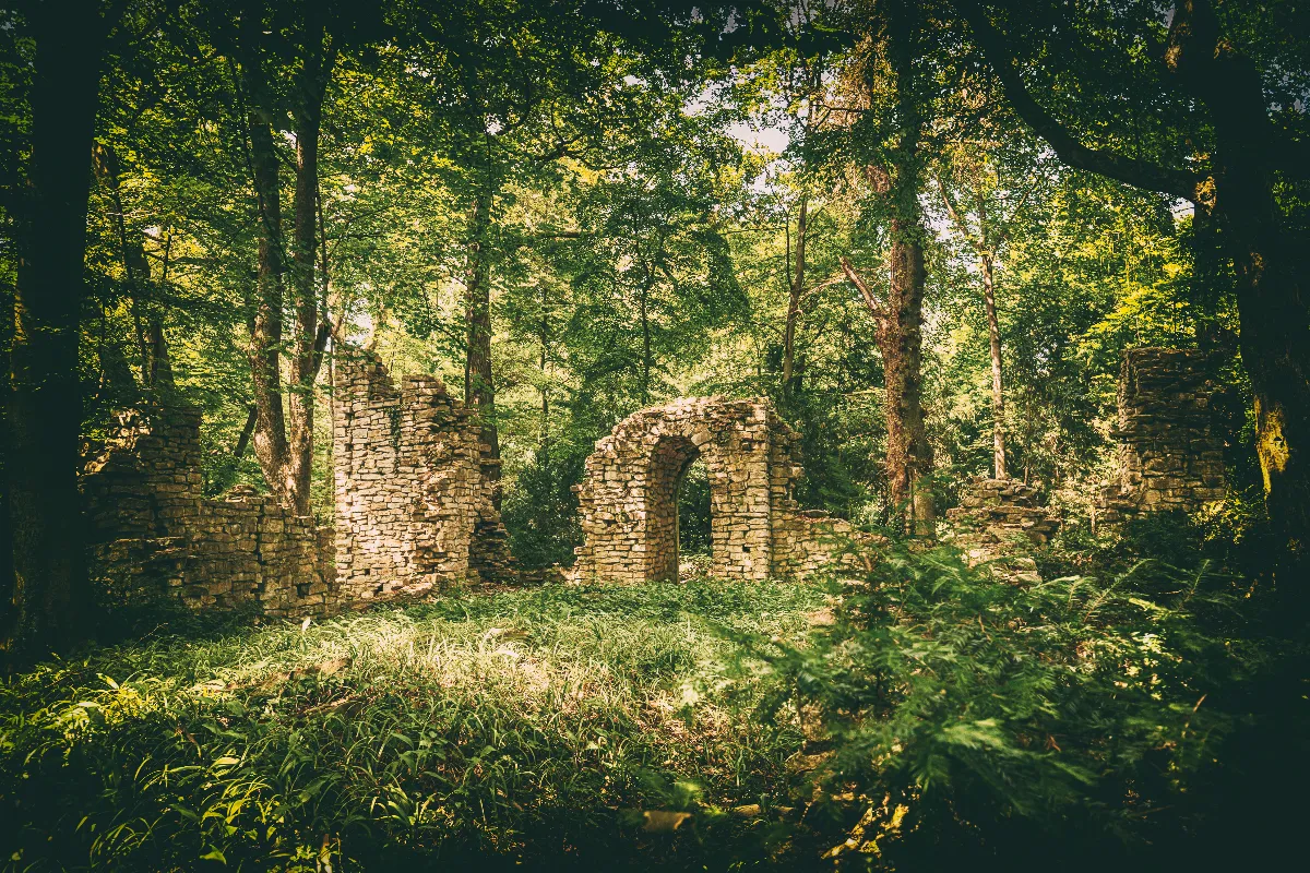 Des déserts à la jungle : vous n&rsquo;êtes pas près à ces expériences de transition étonnantes
