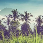 escapade-a-bali-les-endroits-secrets-pour-une-experience-unique