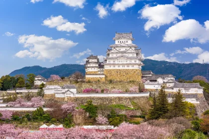 les-forteresses-oubliees-explorez-les-vestiges-de-civilisations-perdues