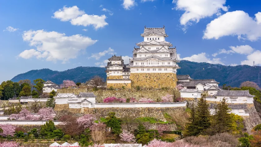 les-forteresses-oubliees-explorez-les-vestiges-de-civilisations-perdues