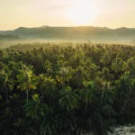 les-iles-de-lexil-decouvrez-les-paradis-ou-furent-bannis-les-rois-et-criminels