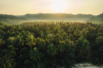 les-iles-de-lexil-decouvrez-les-paradis-ou-furent-bannis-les-rois-et-criminels