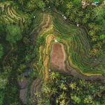 voyage-de-reve-decouvrez-les-secrets-de-bali-hors-des-sentiers-battus