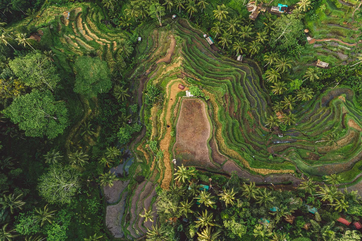 voyage-de-reve-decouvrez-les-secrets-de-bali-hors-des-sentiers-battus