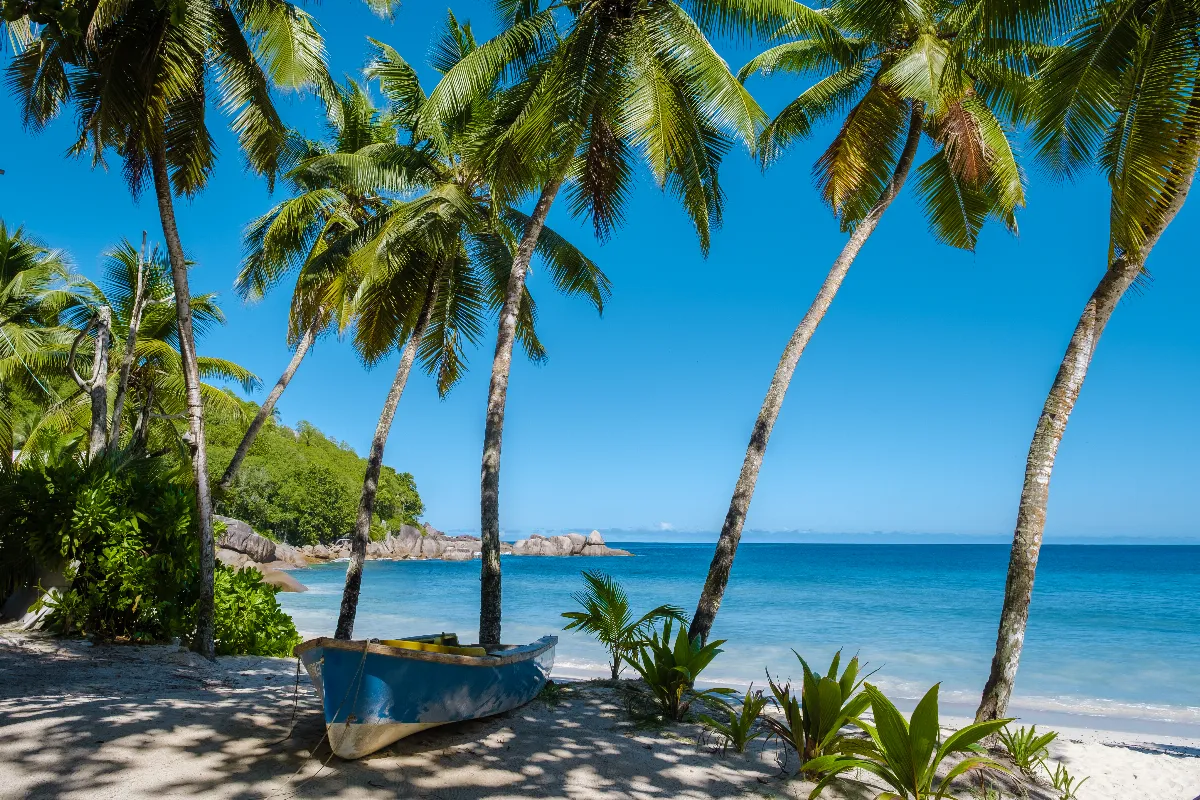Ces plages secrètes sont les préférées des célébrités, découvrez pourquoi !