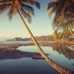 costa-rica-entre-forets-tropicales-plages-idylliques-et-volcans-explorez-ce-petit-coin-de-paradis