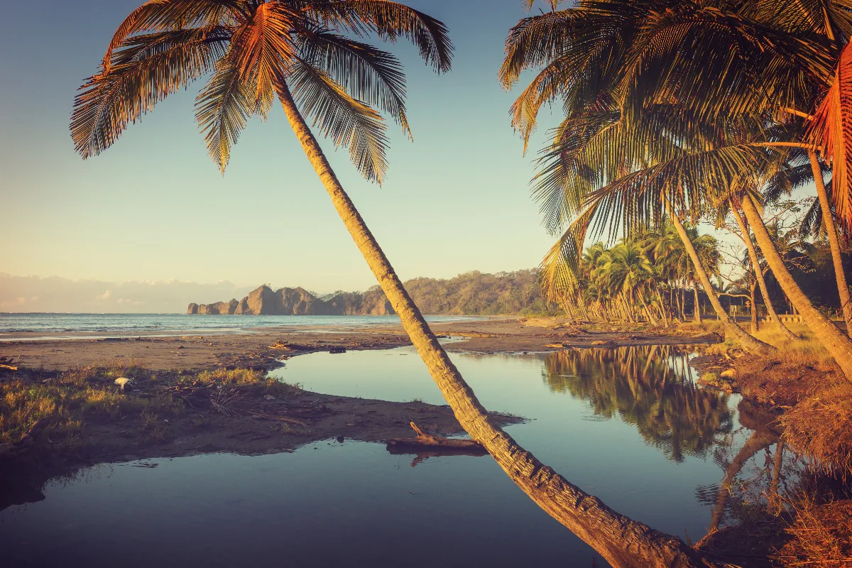 Costa Rica : entre forêts tropicales, plages idylliques et volcans, explorez ce petit coin de paradis !