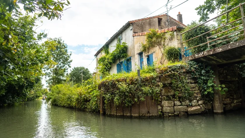 decouvrez-le-village-de-charente-maritime-une-merveille-nichee-au-coeur-des-marais