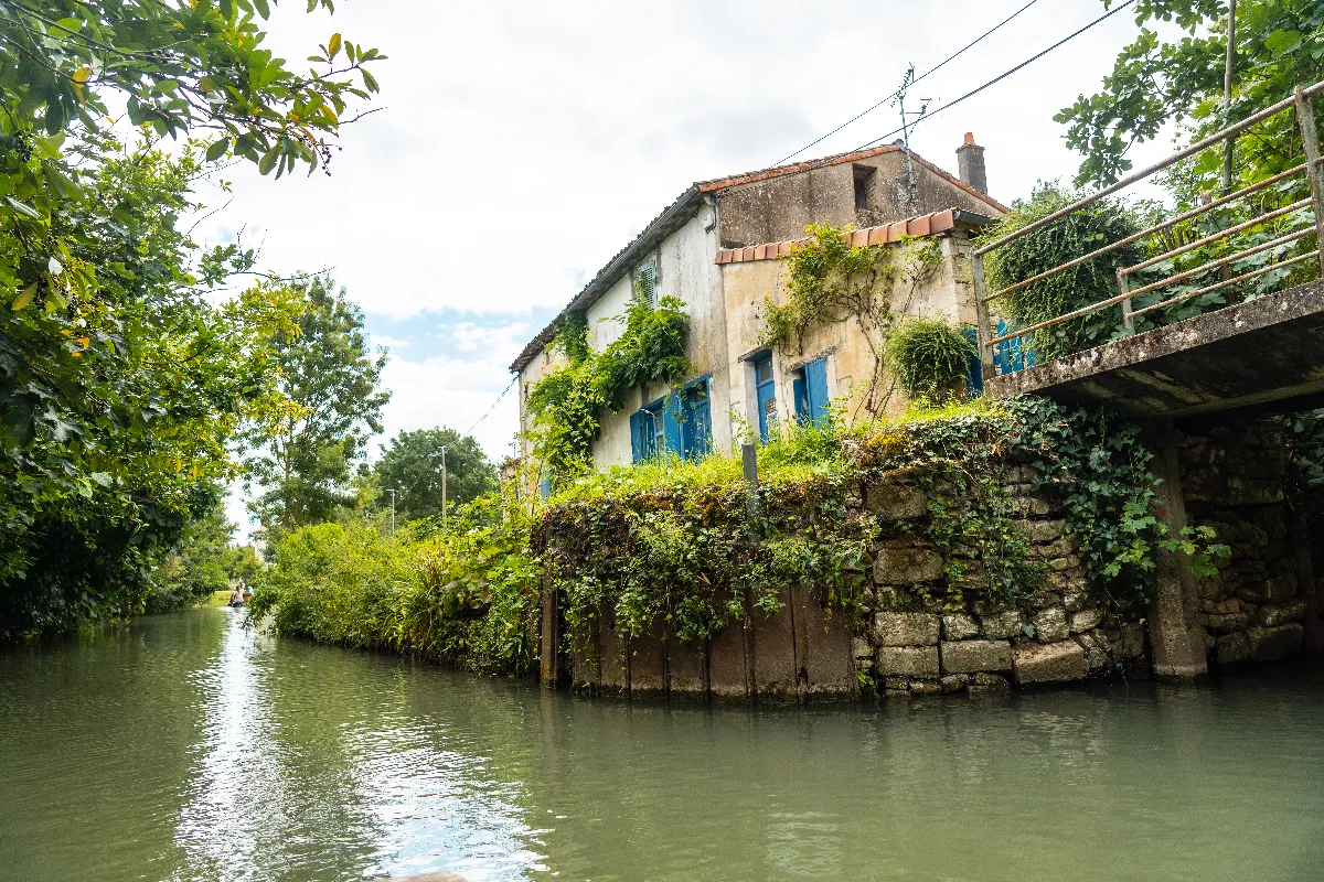 Découvrez le village de Charente-Maritime, une merveille nichée au cœur des marais