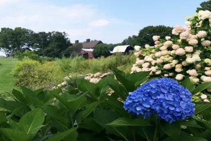 devenez-fermier-le-temps-dun-sejour-des-escapades-uniques-qui-vont-transformer-votre-vision-de-la-campagne