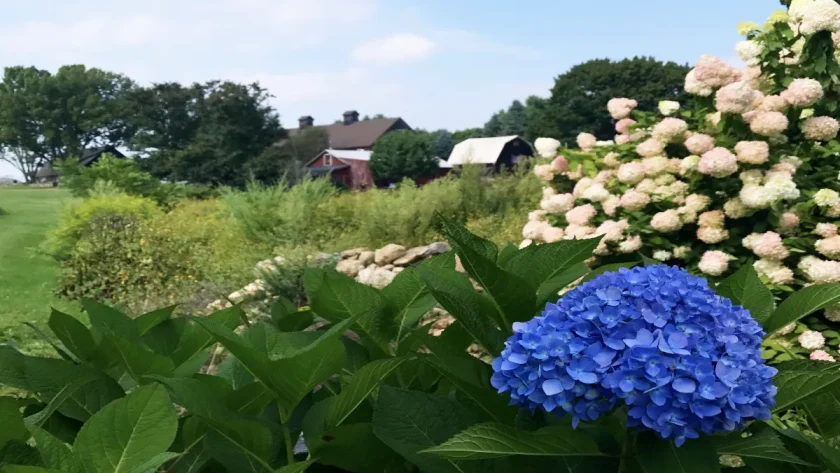 devenez-fermier-le-temps-dun-sejour-des-escapades-uniques-qui-vont-transformer-votre-vision-de-la-campagne