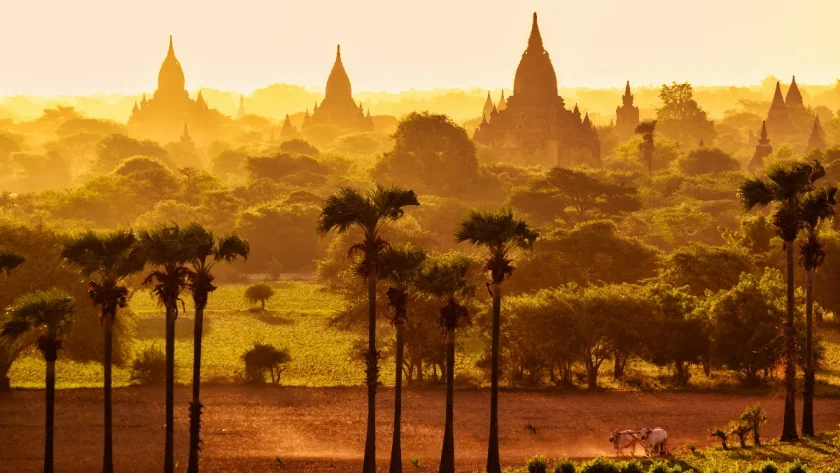 explorez-les-temples-perdus-avant-les-experts-une-aventure-a-ne-pas-manquer