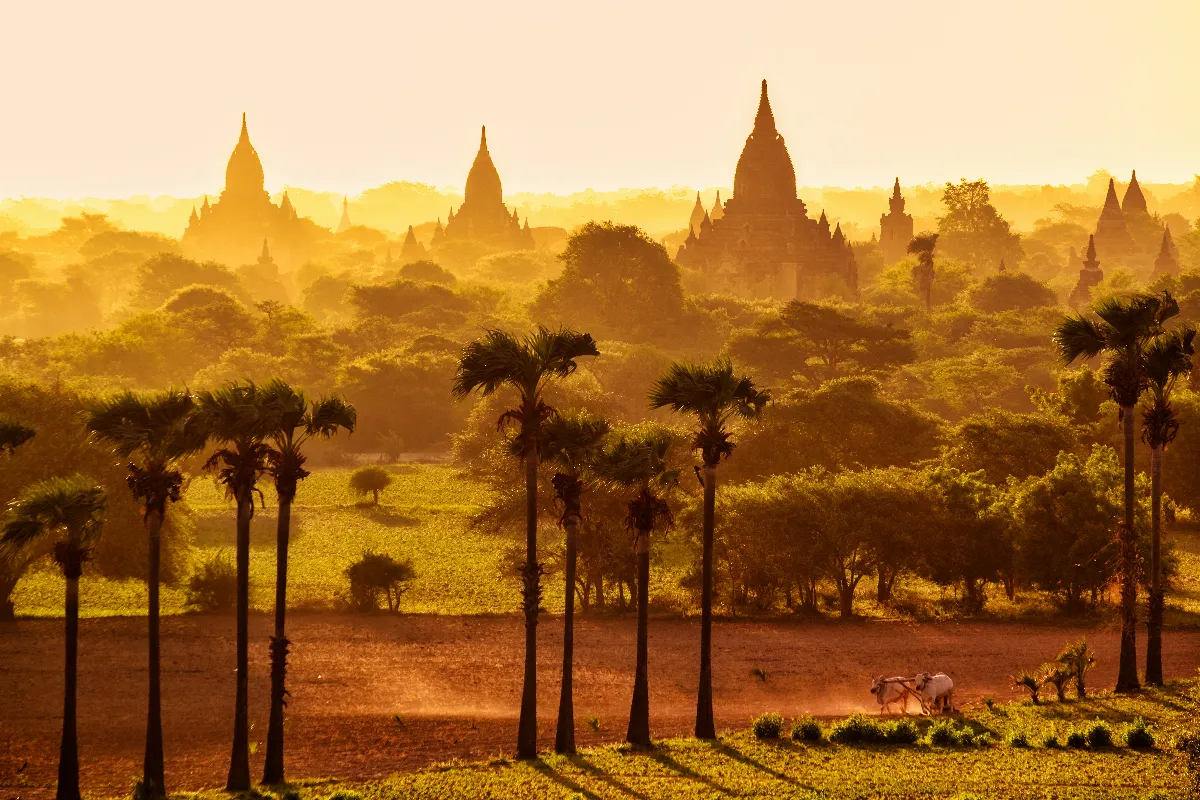 Explorez les temples perdus avant les experts : une aventure à ne pas manquer !