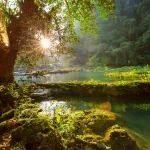 guatemala-a-nouvelle-zelande-les-voyages-de-reve-de-2024-pour-explorateurs-avides