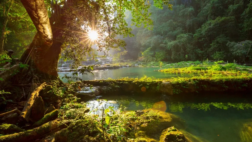 guatemala-a-nouvelle-zelande-les-voyages-de-reve-de-2024-pour-explorateurs-avides