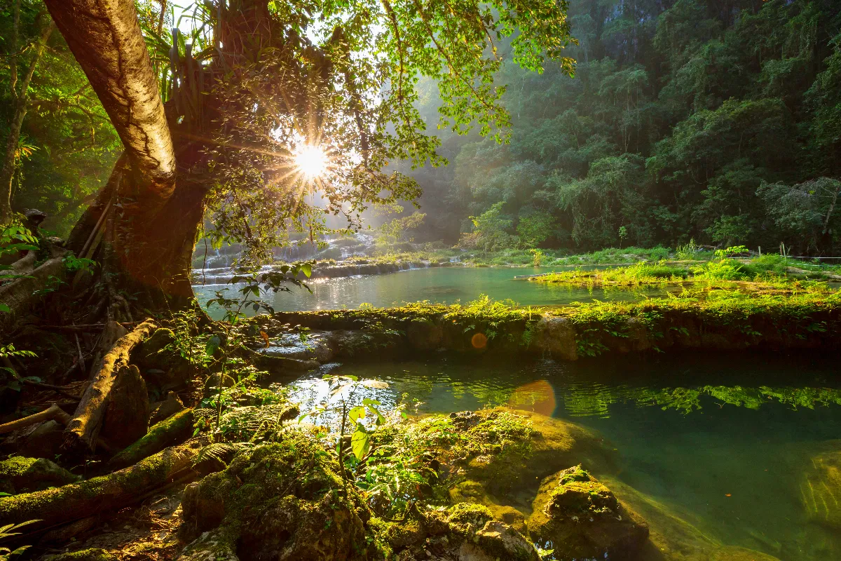 guatemala-a-nouvelle-zelande-les-voyages-de-reve-de-2024-pour-explorateurs-avides