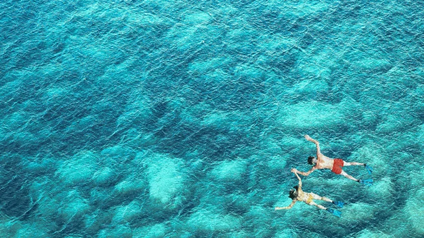 pret-a-tout-quitter-decouvrez-pourquoi-il-est-temps-de-faire-vos-valises-maintenant