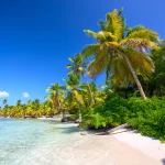 vous-ne-devinerez-jamais-revelation-des-iles-secretes-des-caraibes-et-de-leurs-cultures-envoutantes