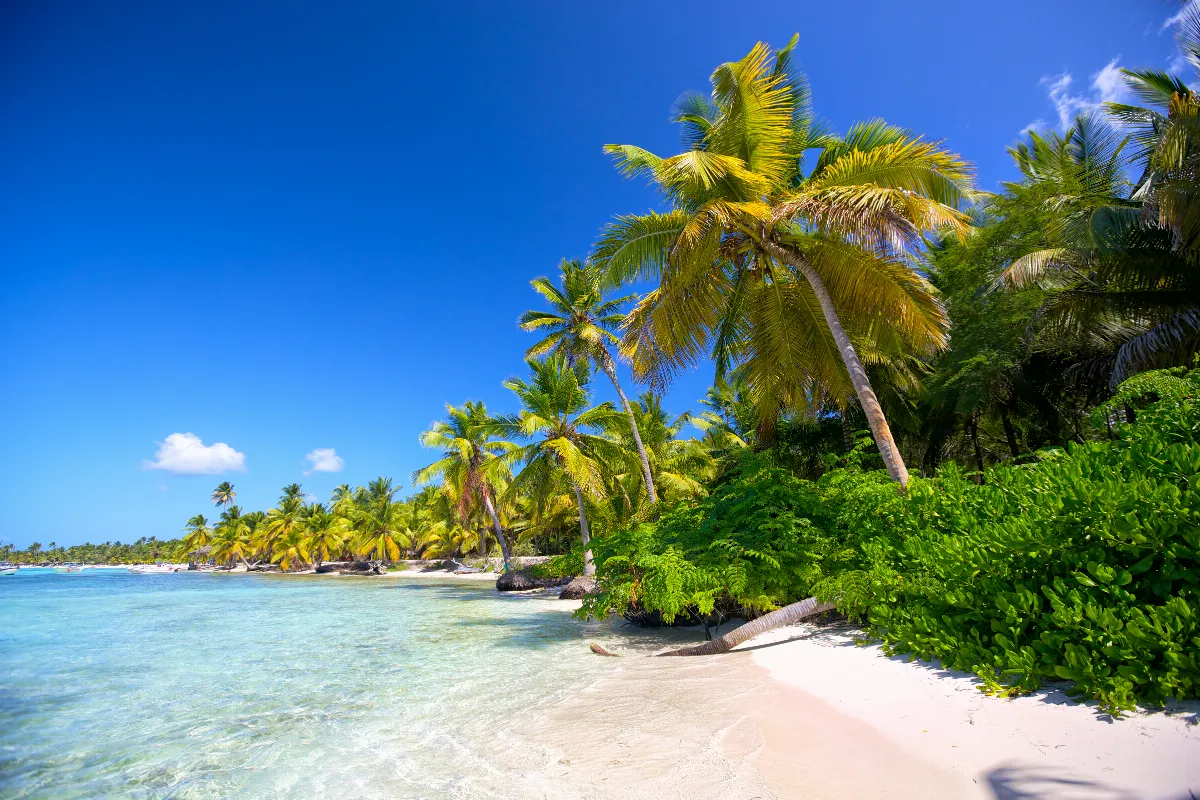 Vous ne devinerez jamais : révélation des îles secrètes des Caraïbes et de leurs cultures envoûtantes !