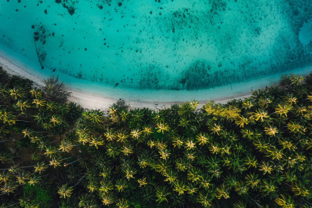 Vous n&rsquo;êtes pas prêts pour ces îles secrètes où vous pouvez échapper le printemps !