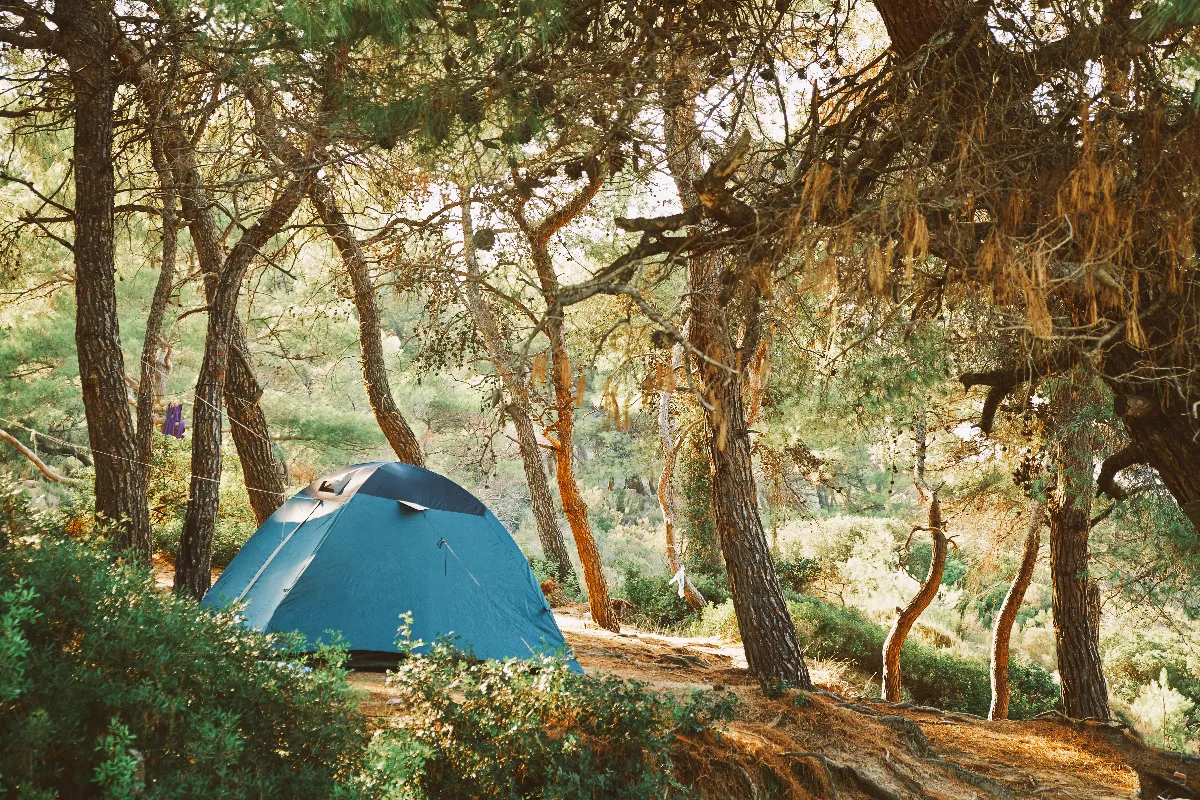 Vous n&rsquo;êtes pas prêts pour ces spots secrets de camping sauvage : nature et liberté extrême !