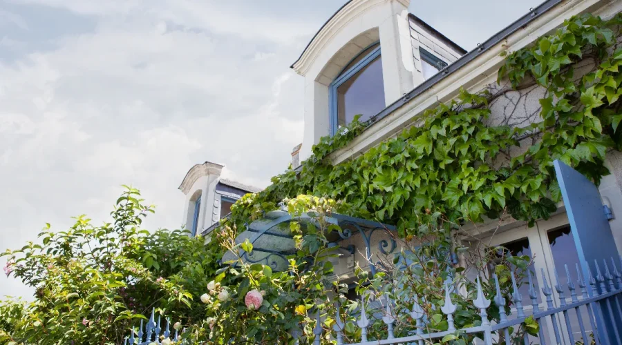 ce-plus-beau-village-de-france-surnomme-le-village-aux-mille-rosiers-vous-invite-a-une-echappee-florale-unique