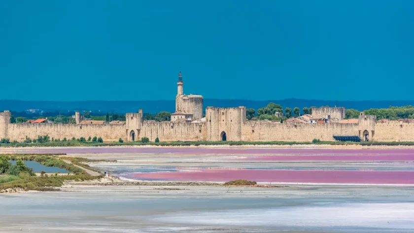 decouverte-aux-portes-de-la-camargue-un-joyau-medieval-niche-entre-salins-et-marais