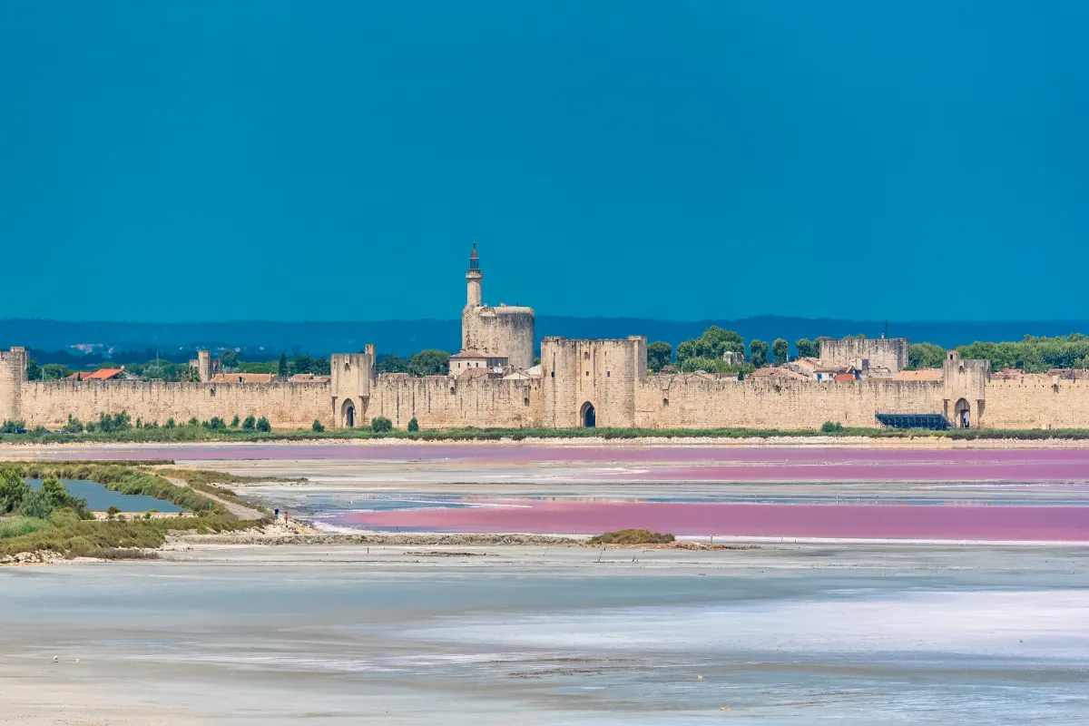 Découverte aux portes de la Camargue : un joyau médiéval niché entre salins et marais