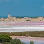 decouverte-immersive-un-joyau-medieval-au-coeur-de-la-camargue-et-ses-recits-enchantes