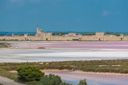 decouverte-immersive-un-joyau-medieval-au-coeur-de-la-camargue-et-ses-recits-enchantes
